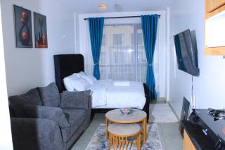 Cozy Studios Thika Road near TRM - 0
