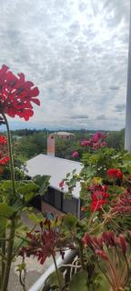 Wine&Honey Cozy Guest House - 1