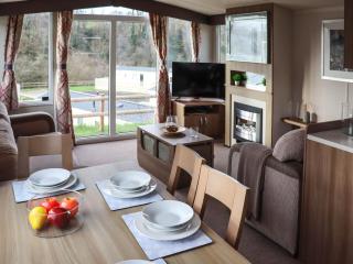 Birch 4 - Ukc8217 - Pendine - 5