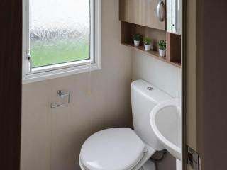 Birch 4 - Ukc8217 - Pendine - 1