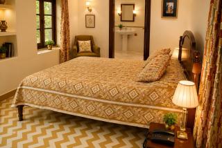 Bijay Niwas Palace- Bijaynagar - 7