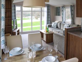Birch 1 - Ukc8214 - Pendine - 6