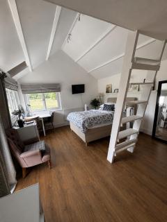 Scandi style Cabin in large garden beautiful views - 9