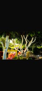 Hotel Dini - Vlora - 2