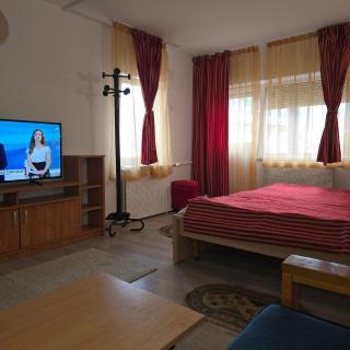 Criss apartamente in pensiune 400m de Pârtia de ski - 7