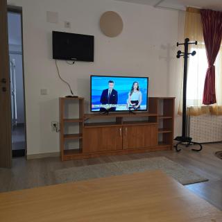Criss apartamente in pensiune 400m de Pârtia de ski - 6