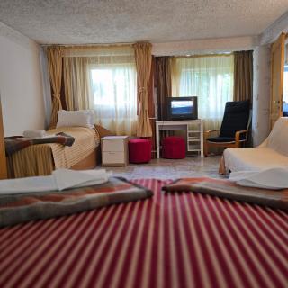 Criss apartamente in pensiune 400m de Pârtia de ski - 7