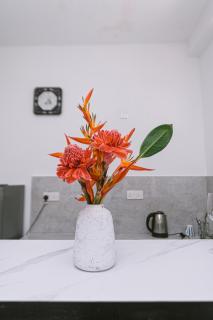 Vega Haven - Matara - 2