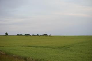 Spjutstorp's old school and rectory 2 - 3