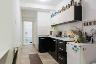 Spacious 1-bedroom apartment - Novi Sad - 7