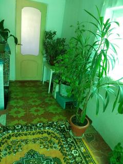 Adis Guesthouse 5 кровать 6 комнат - 6