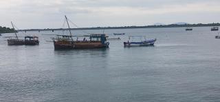 PASIFIC OCEAN TOUR's - 2