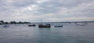 PASIFIC OCEAN TOUR's - 1