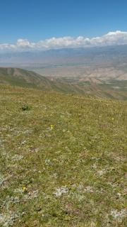 Erzhan travel - 1