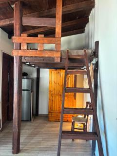Papyrise Nest - 5