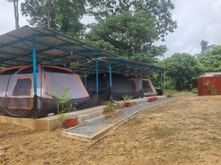 D'Tahan Campsite Taman Negara - 9