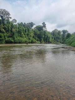 D'Tahan Campsite Taman Negara - 5