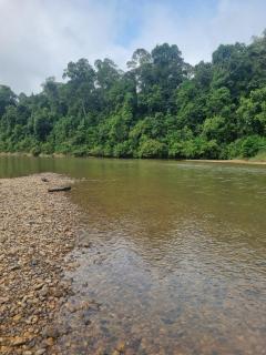 D'Tahan Campsite Taman Negara - 4