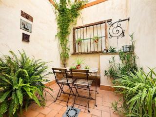 Casa Portus Gaditanus s XVIII Patio Andaluz - 3