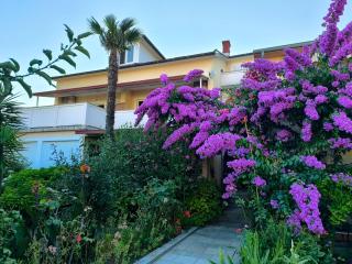 Haus Sabina - 8