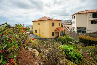 Flowers Island House 7 - 7