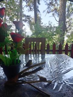 Green Heaven Lodge - 6