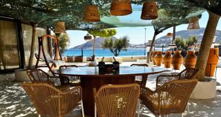 Palatino Seafront Residence - 0