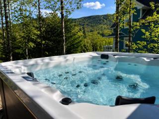Le Skyvue - Massif du Sud Mountain View Pets - 9