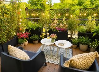 Petit Cocon des Rives Proche Stanislas-terrasse & parking gratuit - Nancy - 0