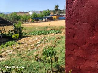 La Finca Roja 3 - 5