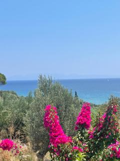 Olive & Sea Villa Koroni - 0