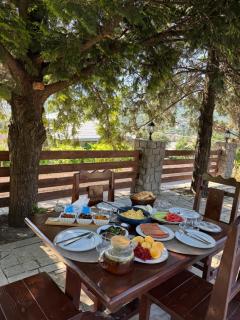 EleGaya Guest house - 6