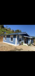 The Blooming Hill - 2