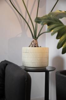 Design Apartment - Old Town - 3