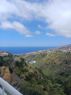 Madeira Pura - 9