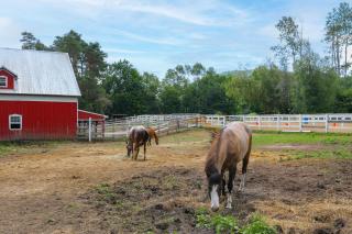 On Horse Farm! Home w/ Pond Access in Spring Creek - 9
