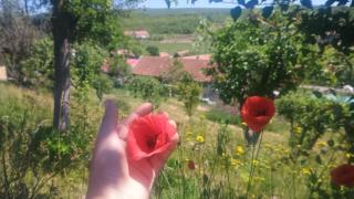 Stanciova Shura Stories farm stay - 4