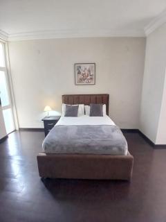 Stylish 4 Bedroom Penthouse - 5