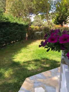 Pines House - 9