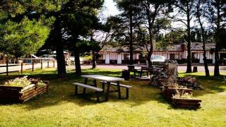 Two Medicine Inn and Resort - 3