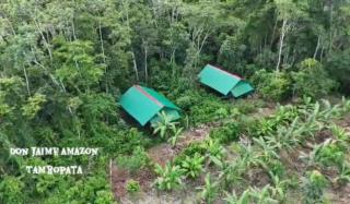 Don Jaime Amazon Lodge-Tambopata - 9