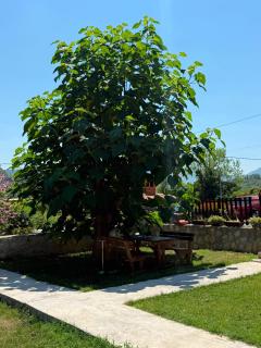 Woodhouse Maja - 7