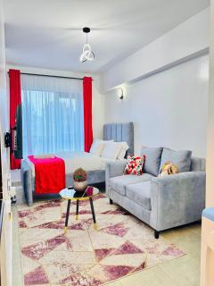 H&I Stays -Naivasha Rd - opposite ILRI - 8