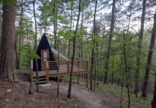 Loblolly Pines Adventure Aframe #2 - 6