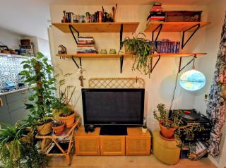 Bohemian Home with Soul - 1