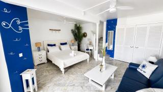 Big studio terrasse pool near Orient Bay - 2