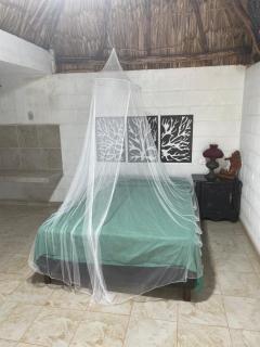 Flor de Mayo - 5