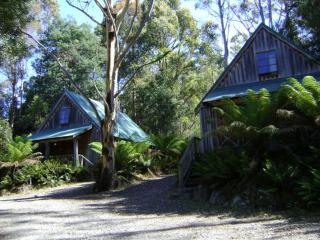 Lemonthyme Wilderness Retreat - Moina - 9