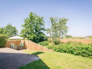 Texel Villa in Nature Reserve - 6