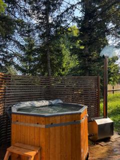 The DACHA escape - 8